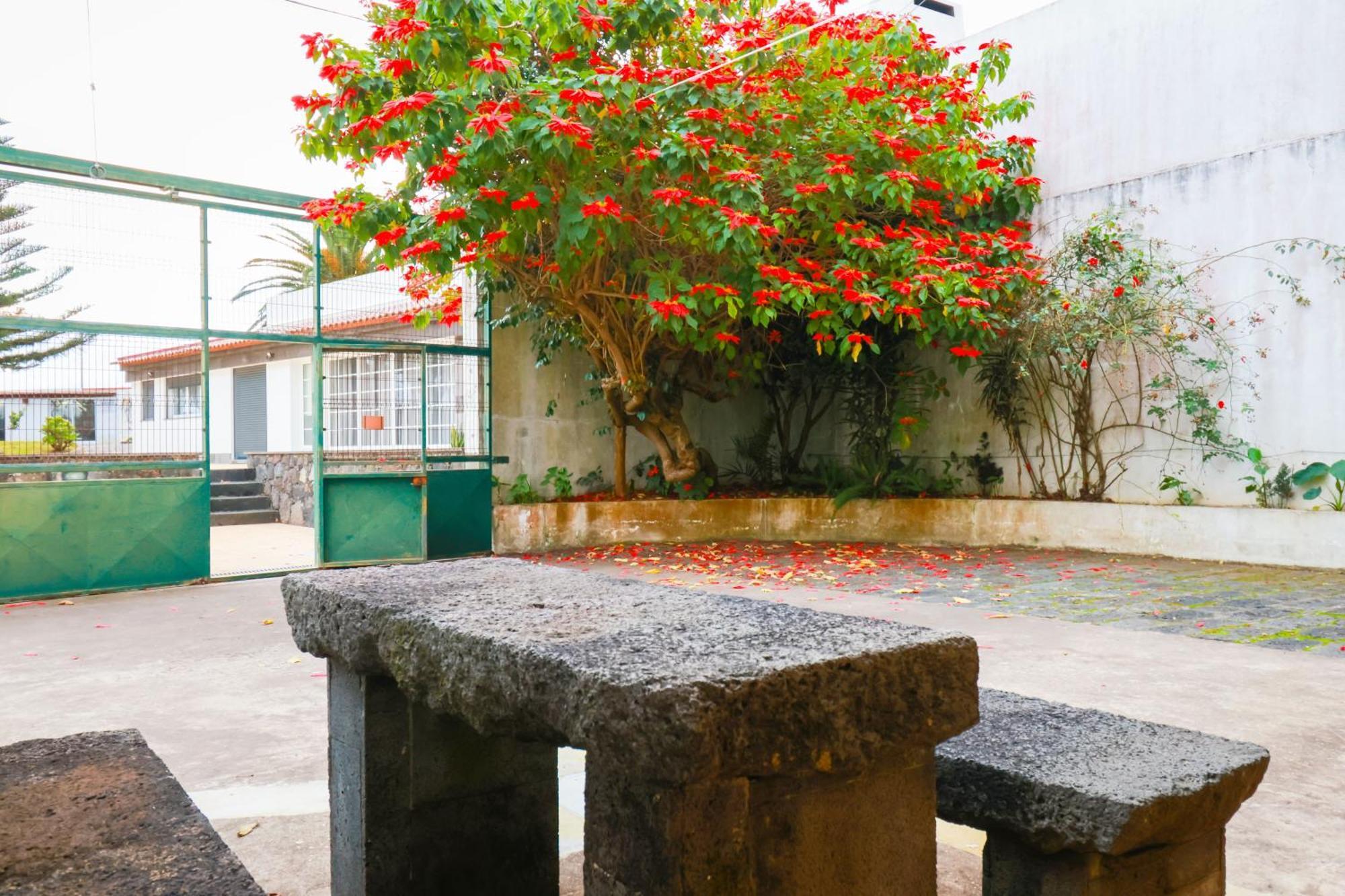 Casa Barao Das Laranjeiras Ponta Delgada Exteriér fotografie