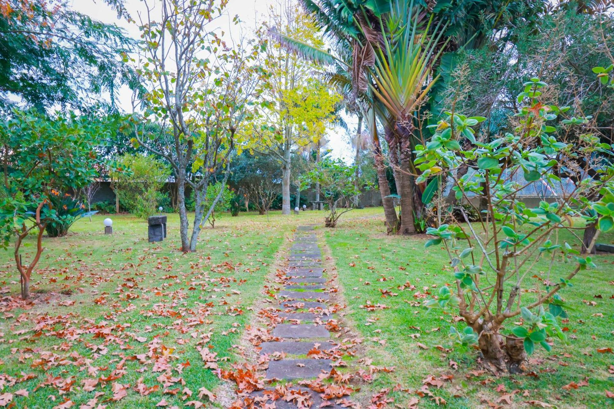 Casa Barao Das Laranjeiras Ponta Delgada Exteriér fotografie